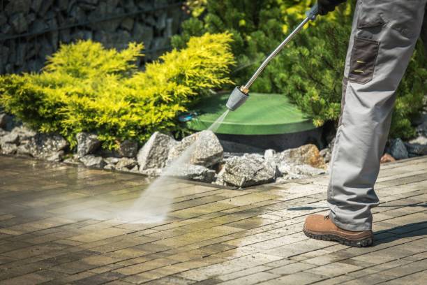 Best Animal Enclosure Cleaning  in Louisa, VA