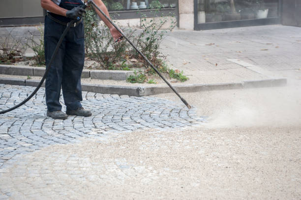 Best Winterizing Services  in Louisa, VA