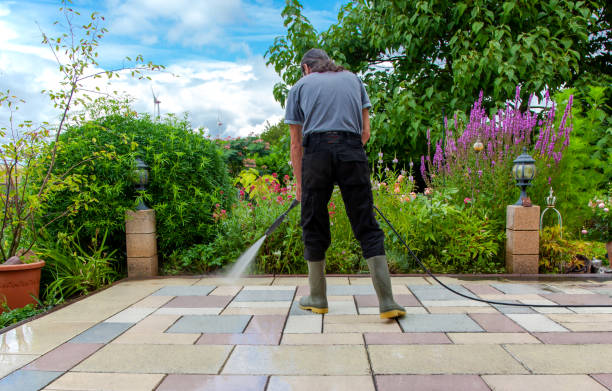  Louisa, VA Pressure Washing Pros